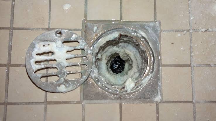 Shower drain clogged with hair and soap buildup in Pueblo CO