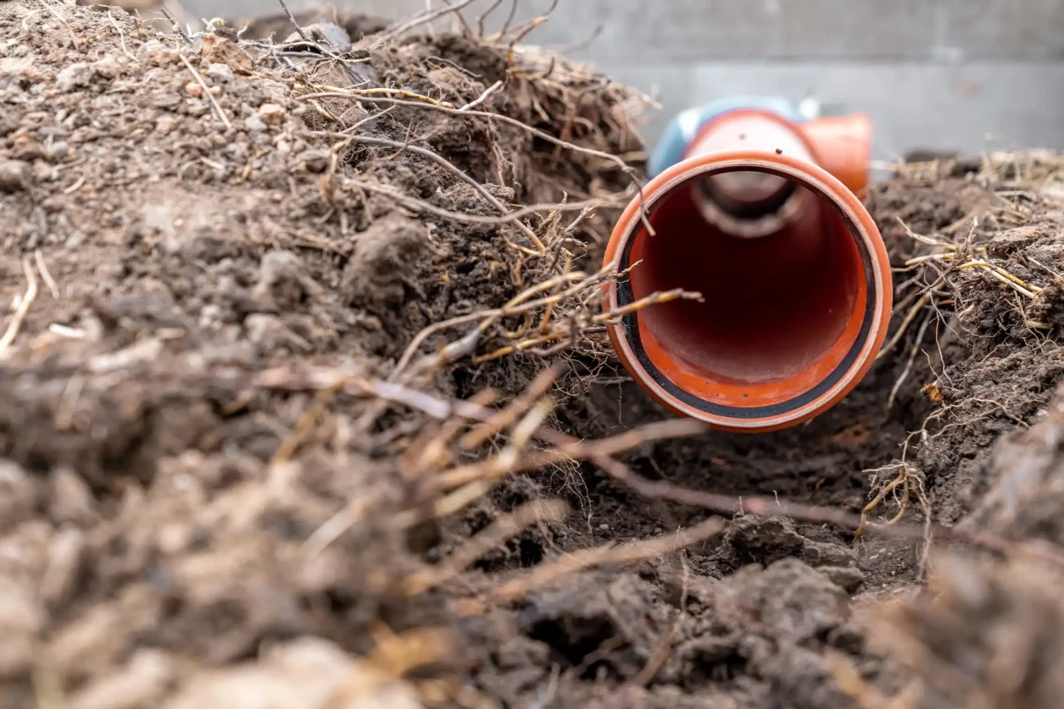 Sewer line cleared of roots Pueblo West CO