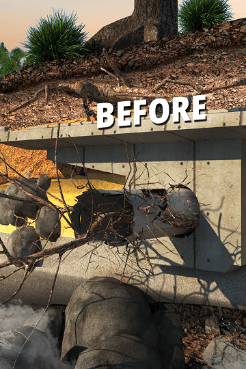 Tree roots blocking the main sewer line in Pueblo CO